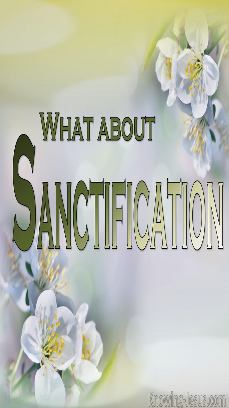 What About Sanctification (devotional)09-17 (sage)